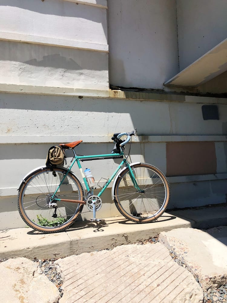 Finding a part of myself on my hedge // I am a Beacon.