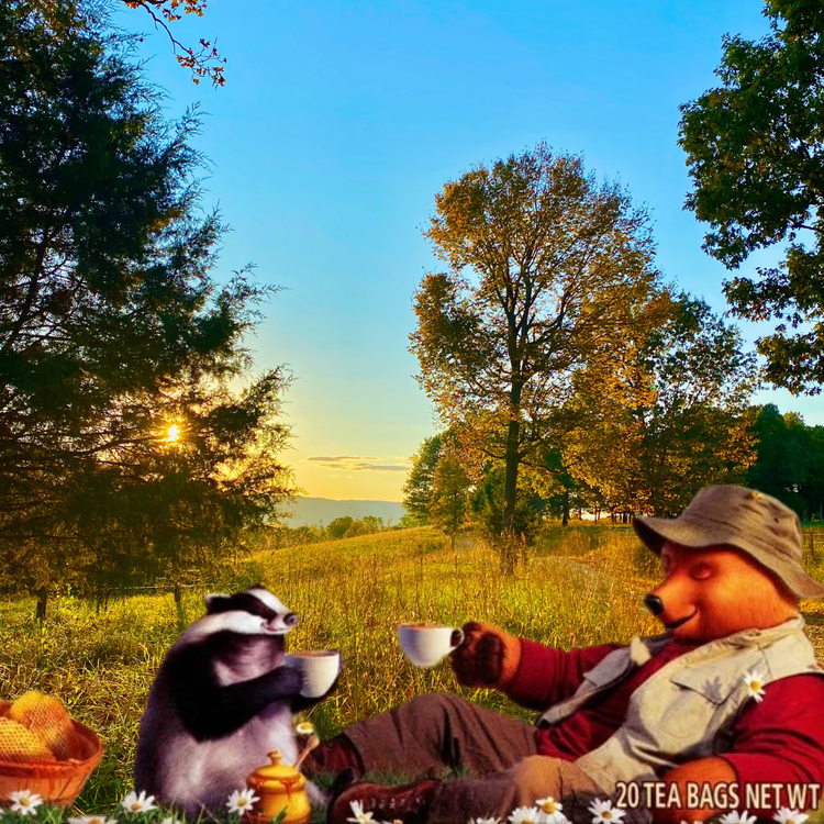 I Am Sleepy Time Bear in a Meadow