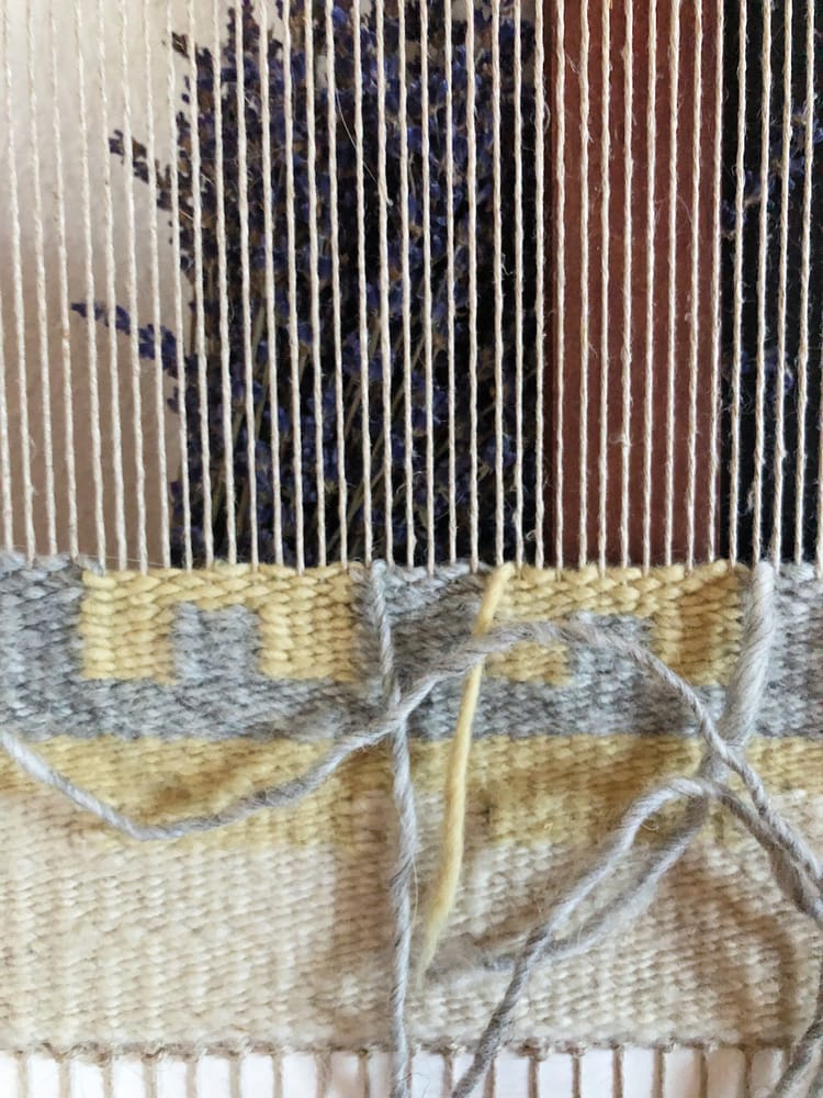 Workshop Notes - 1/31/24