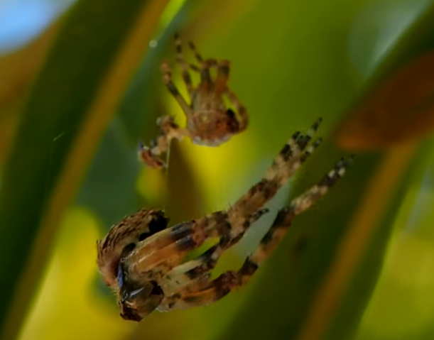 Riding the Rupture of this Season