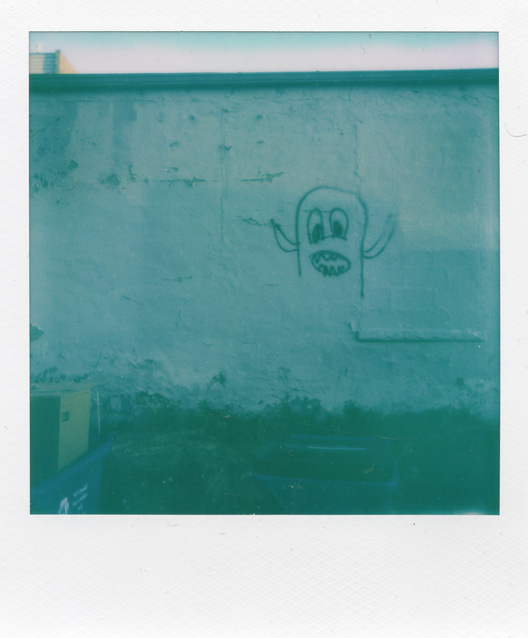 "How Many Multitudes Can I Hold?"