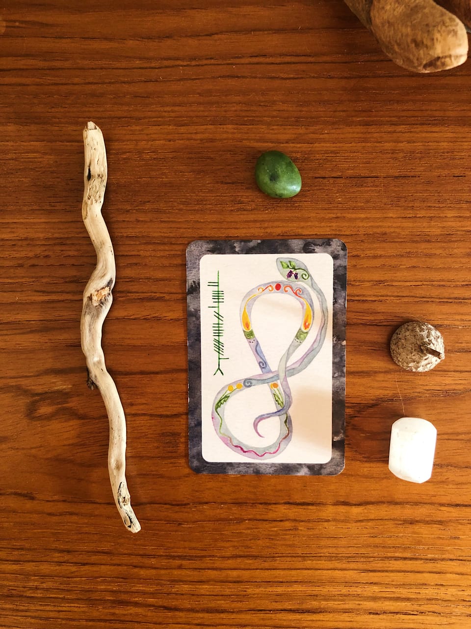 I Bloomed Right There on the Hedge