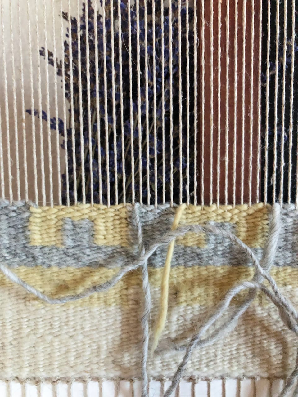 Workshop Notes - 1/31/24